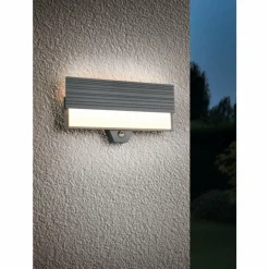 MARIZA Applique murale Luminaires Trio LED Anthracite, 1 lumière, Détecteur de mouvement
