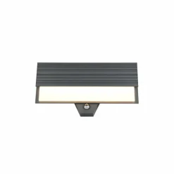 MARIZA Applique murale Luminaires Trio LED Anthracite, 1 lumière, Détecteur de mouvement