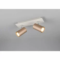 Marley Spot de plafond Luminaires Trio Brun, 2 lumières