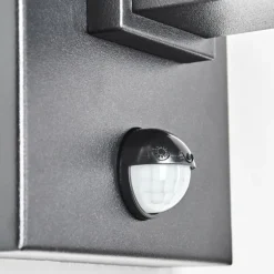 Monfanim Lampe murale d´extérieur Noir, 1 lumière