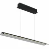 Muriella Suspension Luminaires Globo Lighting LED Noir, 1 lumière