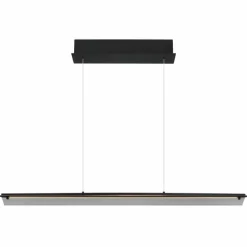 Muriella Suspension Luminaires Globo Lighting LED Noir, 1 lumière
