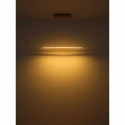 Muriella Suspension Luminaires Globo Lighting LED Noir, 1 lumière