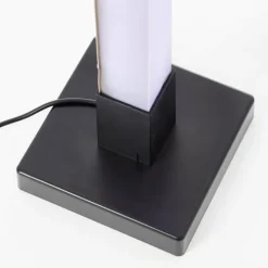 Neele Lampadaire Luminaires Brilliant LED Noir, 1 lumière, Télécommandes