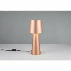 Nubian Lampe à poser Luminaires Trio Brun, 1 lumière