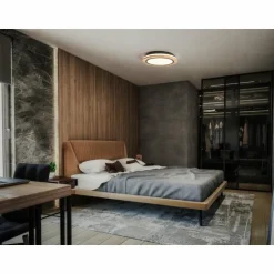 ORBIS Applique murale / Plafonnier Luminaires Ledvance LED Couleur bois, 1 lumière