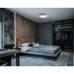 ORBIS Applique murale / Plafonnier Luminaires Ledvance LED Couleur bois, 1 lumière