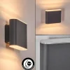 Paranhas Lampe murale d´extérieur, Luminaire de salle de bain, Luminaire Up & Down, Applique murale Anthracite, 1 lumière