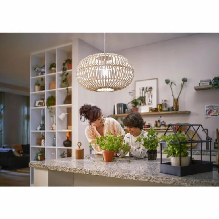 Philips Classic LED E27 7,3 watt 4000 kelvin 1535 lumen