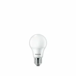 Philips Classic Lot de 2 LED E27 4,9 watt 2700 kelvin 470 lumen