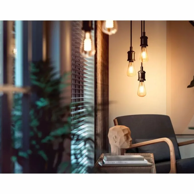 Philips Hue E27 LED 7 watt 2100 Kelvin 550 lumens