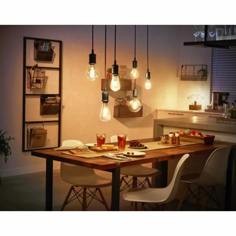 Philips Hue E27 LED 7 watts 2100 Kelvin 550 lumens