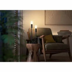 Philips Hue LED E14 4,6 watt 2200-4500 kelvin 350 lumen