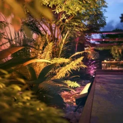 Philips Hue White and Color Ambiance Amarant LED Noir, 1 lumière, Changeur de couleurs