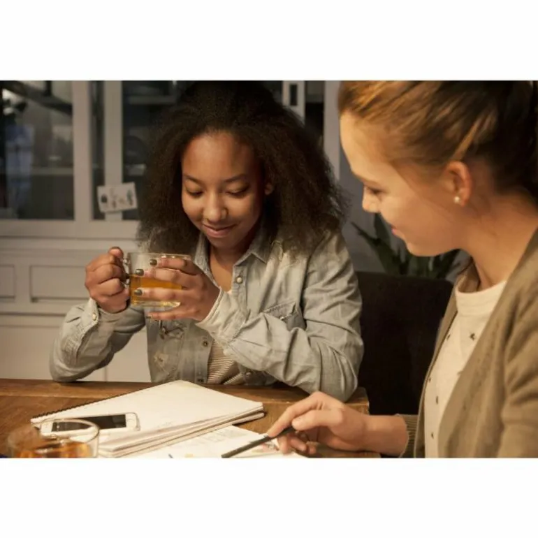 Philips LED E27 2,2 Watt 2700 Kelvin 250 Lumen