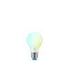 Philips WiZ LED E27 7 watt 2200-6500 kelvin 806 lumen