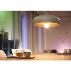 Philips WiZ LED E27 7 watt 2200-6500 kelvin 806 lumen