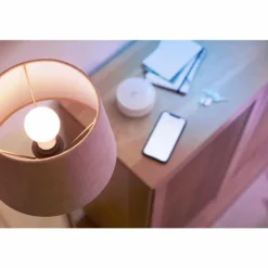 Philips WiZ Lot de 2 LED E27 8 watt 2200 - 6500 Kelvin 806 lumen