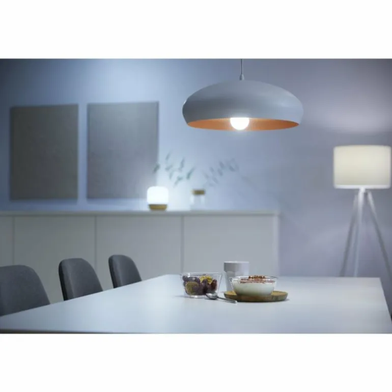 Philips WiZ Lot de 2 LED E27 8 watt 2200 - 6500 Kelvin 806 lumen