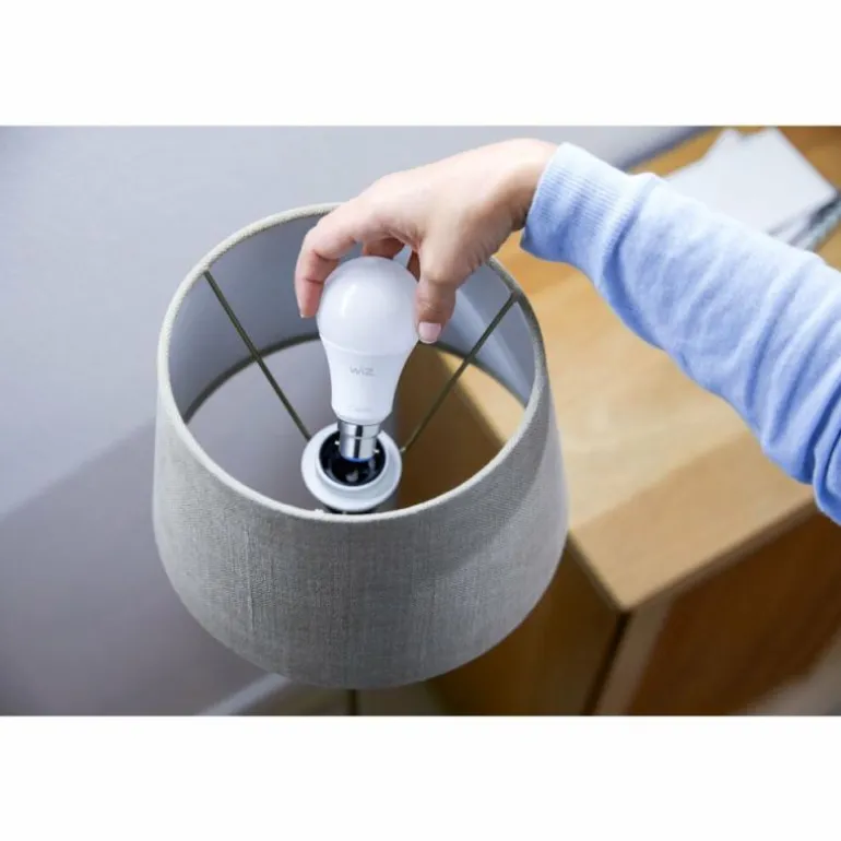 Philips WiZ Lot de 2 LED E27 8 watt 2200 - 6500 Kelvin 806 lumen