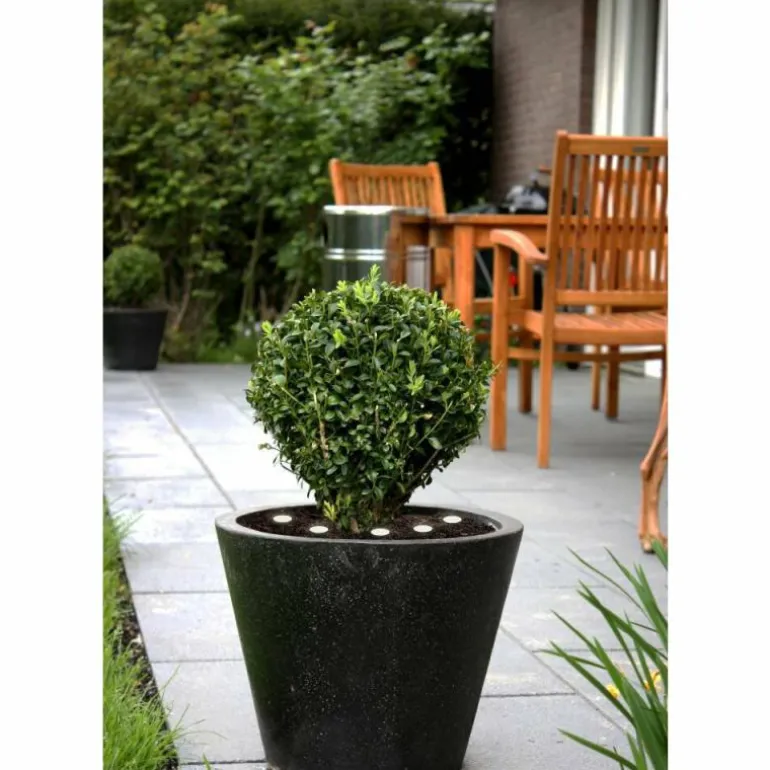 pieu de terre Eglo SPINETOLI LED Transparent, 6 lumières