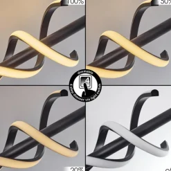 Plafonnier Alvarim LED Noir, 1 lumière