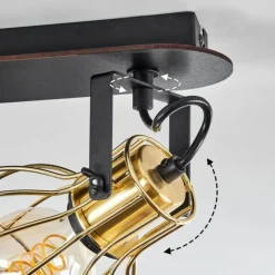 Plafonnier Bitterroot Noir, 3 lumières