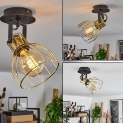 Plafonnier Bitterroot Noir, 1 lumière