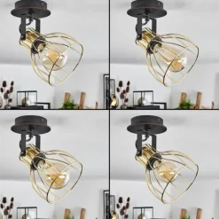 Plafonnier Bitterroot Noir, 1 lumière