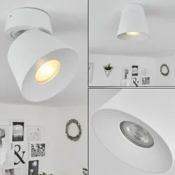 Plafonnier Especiosa Blanc, 1 lumière