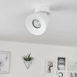 Plafonnier Especiosa Blanc, 1 lumière