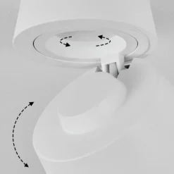 Plafonnier Especiosa Blanc, 1 lumière