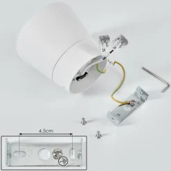 Plafonnier Especiosa Blanc, 1 lumière