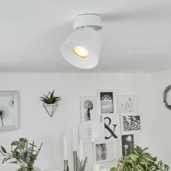 Plafonnier Especiosa Blanc, 1 lumière