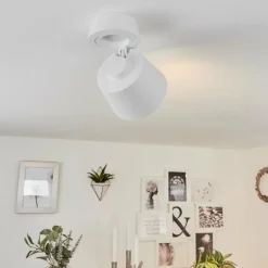 Plafonnier Especiosa Blanc, 1 lumière