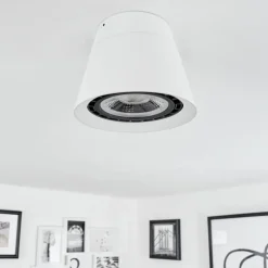 Plafonnier Especiosa Blanc, 1 lumière