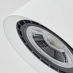 Plafonnier Especiosa Blanc, 1 lumière