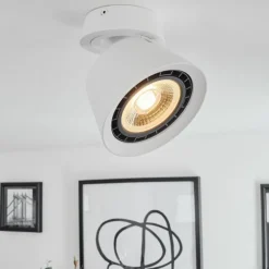 Plafonnier Especiosa Blanc, 1 lumière