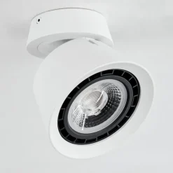 Plafonnier Especiosa Blanc, 1 lumière