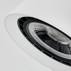 Plafonnier Especiosa Blanc, 2 lumières