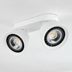 Plafonnier Especiosa Blanc, 2 lumières