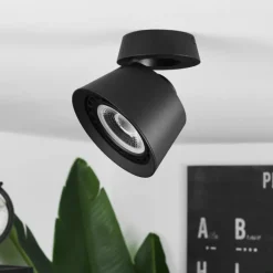 Plafonnier Especiosa Noir, 1 lumière