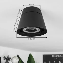 Plafonnier Especiosa Noir, 1 lumière