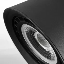 Plafonnier Especiosa Noir, 1 lumière