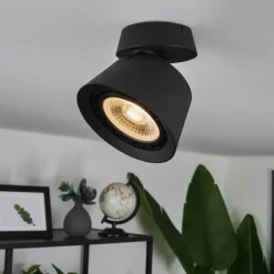 Plafonnier Especiosa Noir, 1 lumière