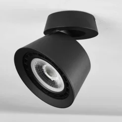 Plafonnier Especiosa Noir, 1 lumière