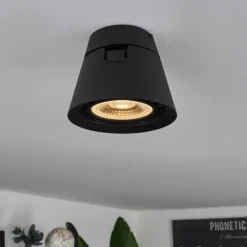 Plafonnier Especiosa Noir, 1 lumière