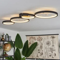 Plafonnier Fombillou LED Noir, 1 lumière