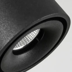 Plafonnier Laonsana LED Noir, 2 lumières