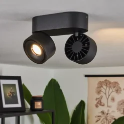 Plafonnier Laonsana LED Noir, 2 lumières